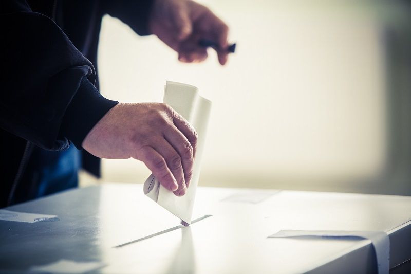 Voting hand comp