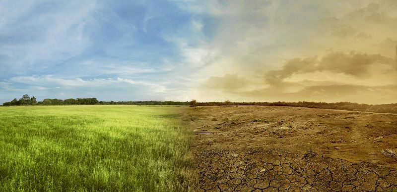 Comp Landscape of meadow field with the changing environment