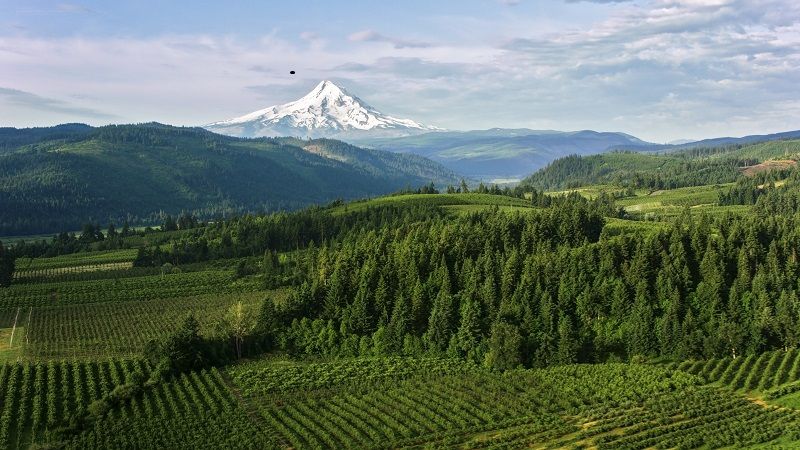 Aerial Farmland with beautiful view of the Mount Hood cm