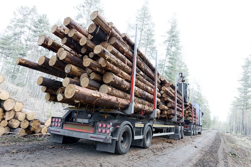 Timber truck cm