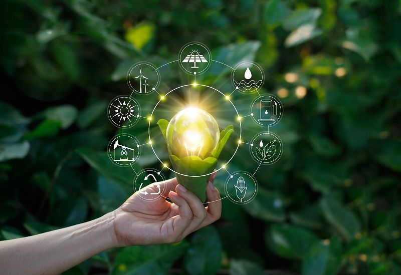 Ecology concept. Hand holding light bulb against nature on green leaf with icons energy sources for renewable sustainable development save energy. cm