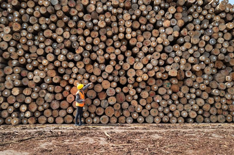 Amended Bill 3103 1 Would Hold ODF Accountable to Fulfill Its Promises on Sustainable Timber Sales cm