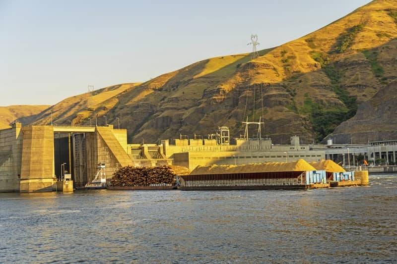 Chelsea Martin: The $15 million question: How many lower Snake River dam studies are enough?